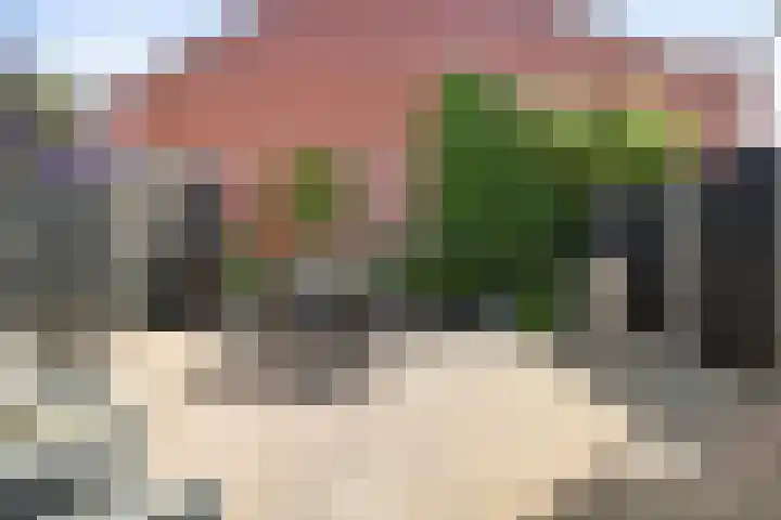 Grachtstraat 1 Zoutkamp thumbnail 26