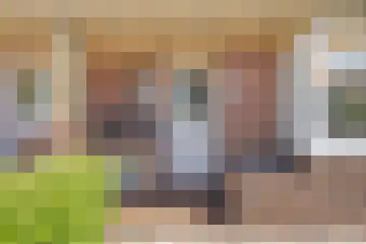 Grachtstraat 1 Zoutkamp thumbnail 5