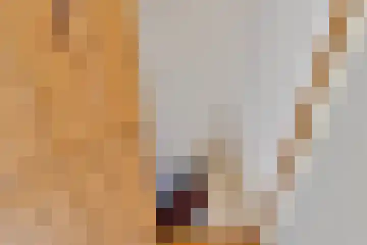Grachtstraat 1 Zoutkamp thumbnail 7