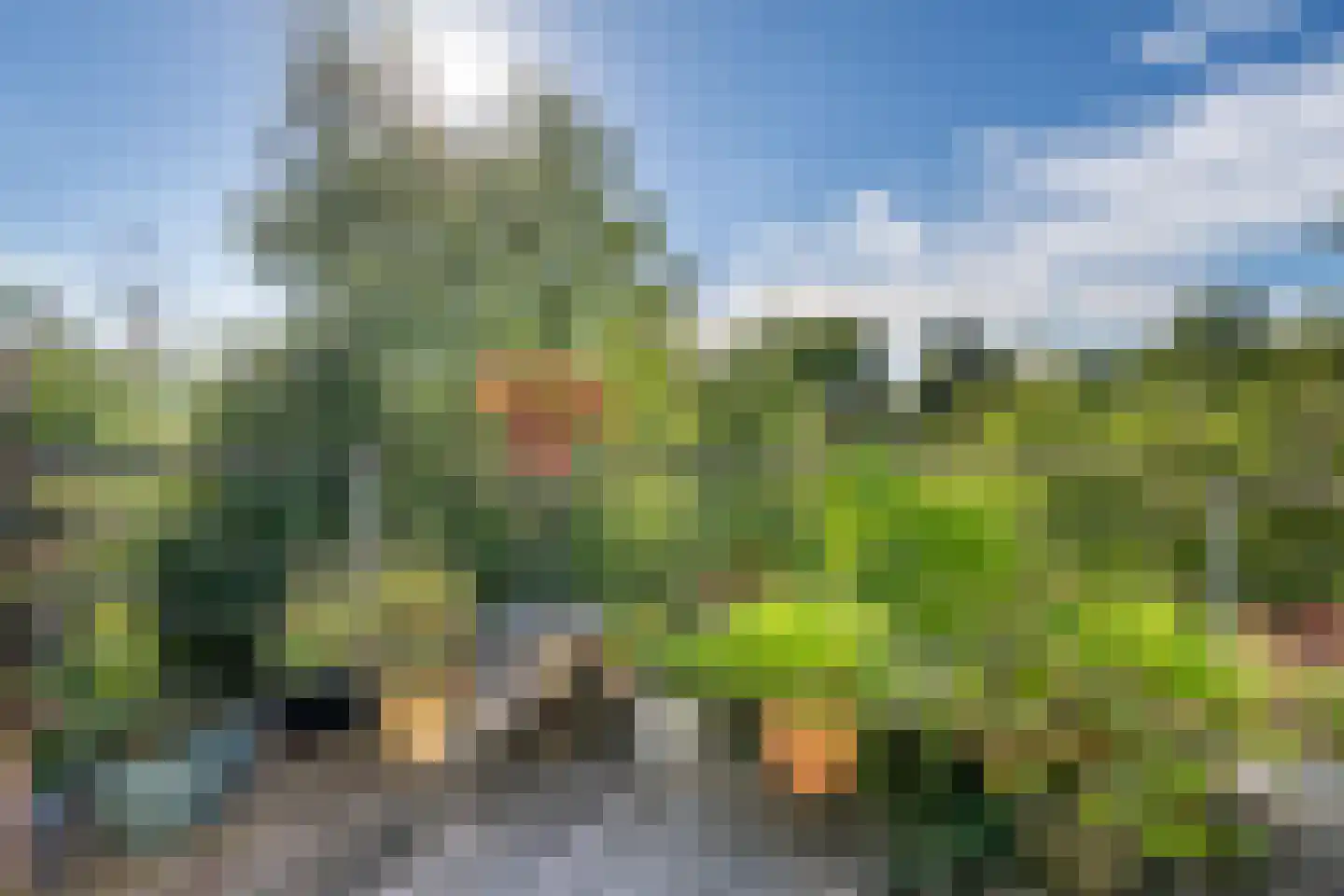 Grachtstraat 10 Eys thumbnail 17