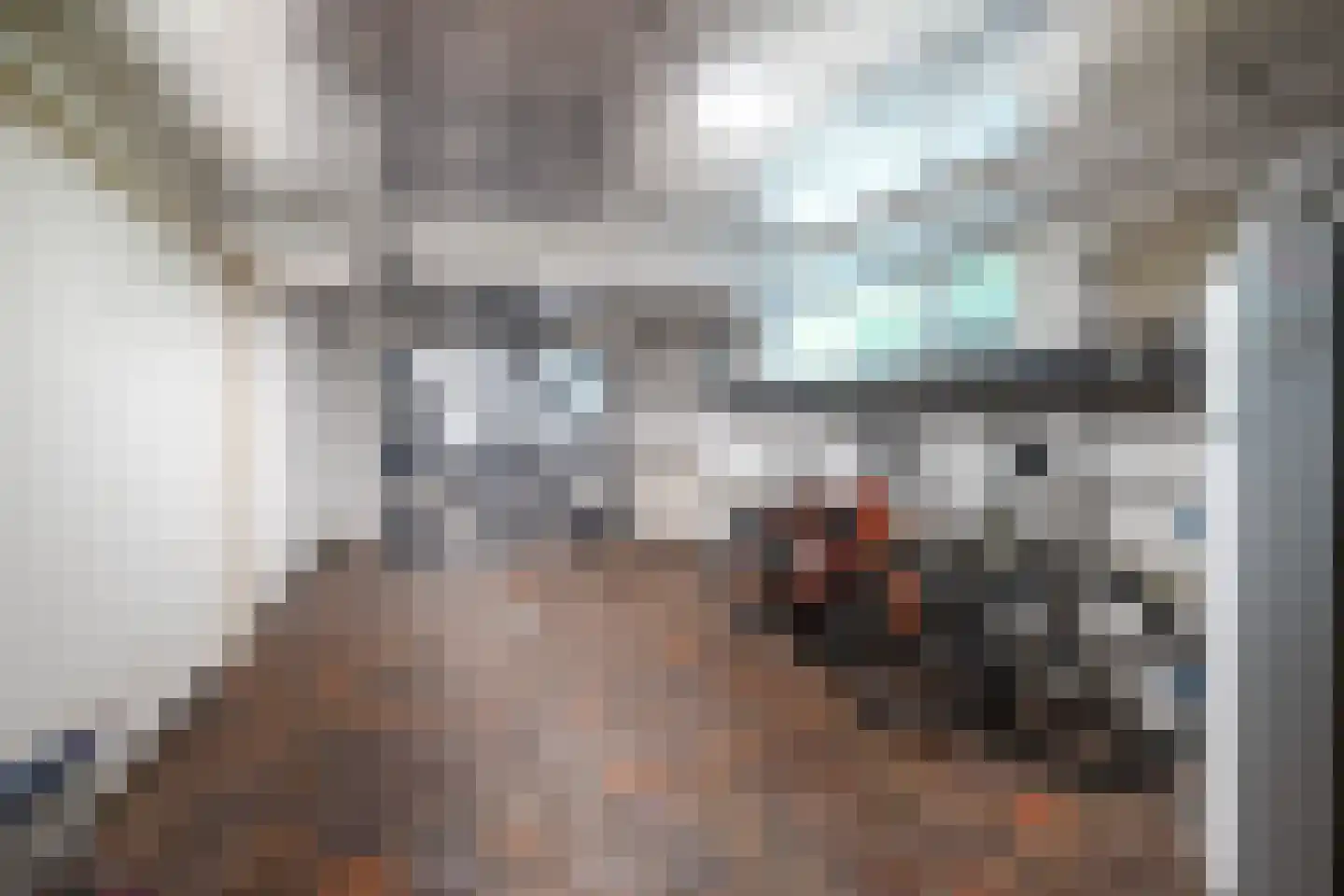 Grachtstraat 10 Eys thumbnail 22