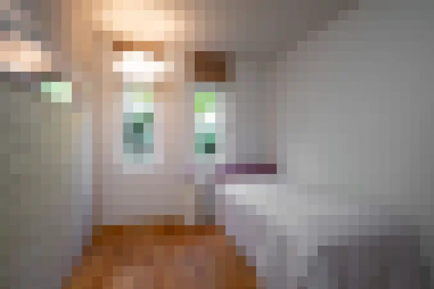 Grachtstraat 10 Eys thumbnail 26