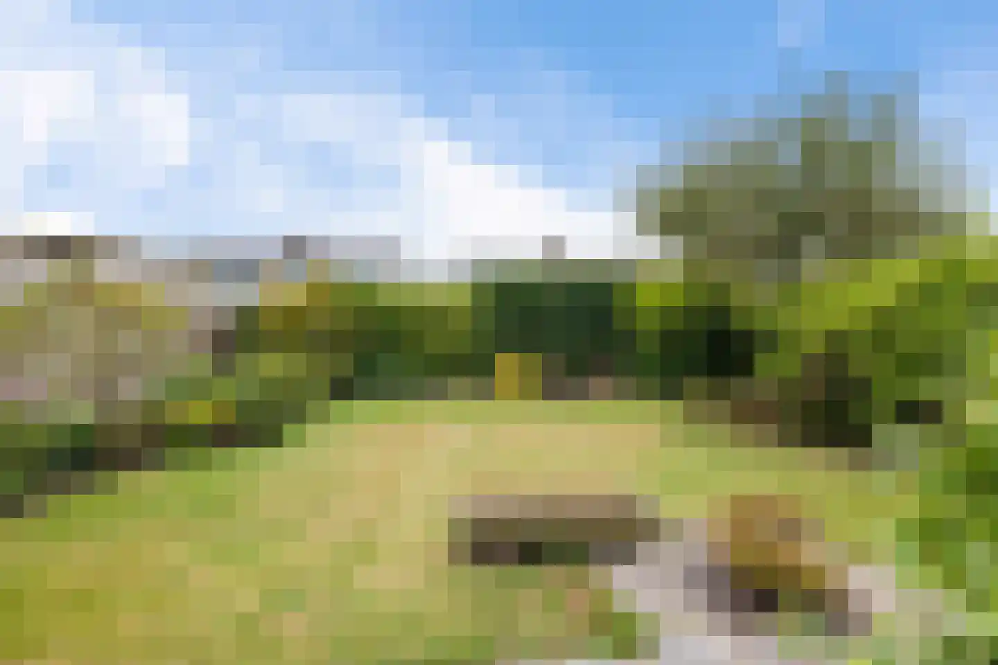 Grachtstraat 10 Winsum thumbnail 33