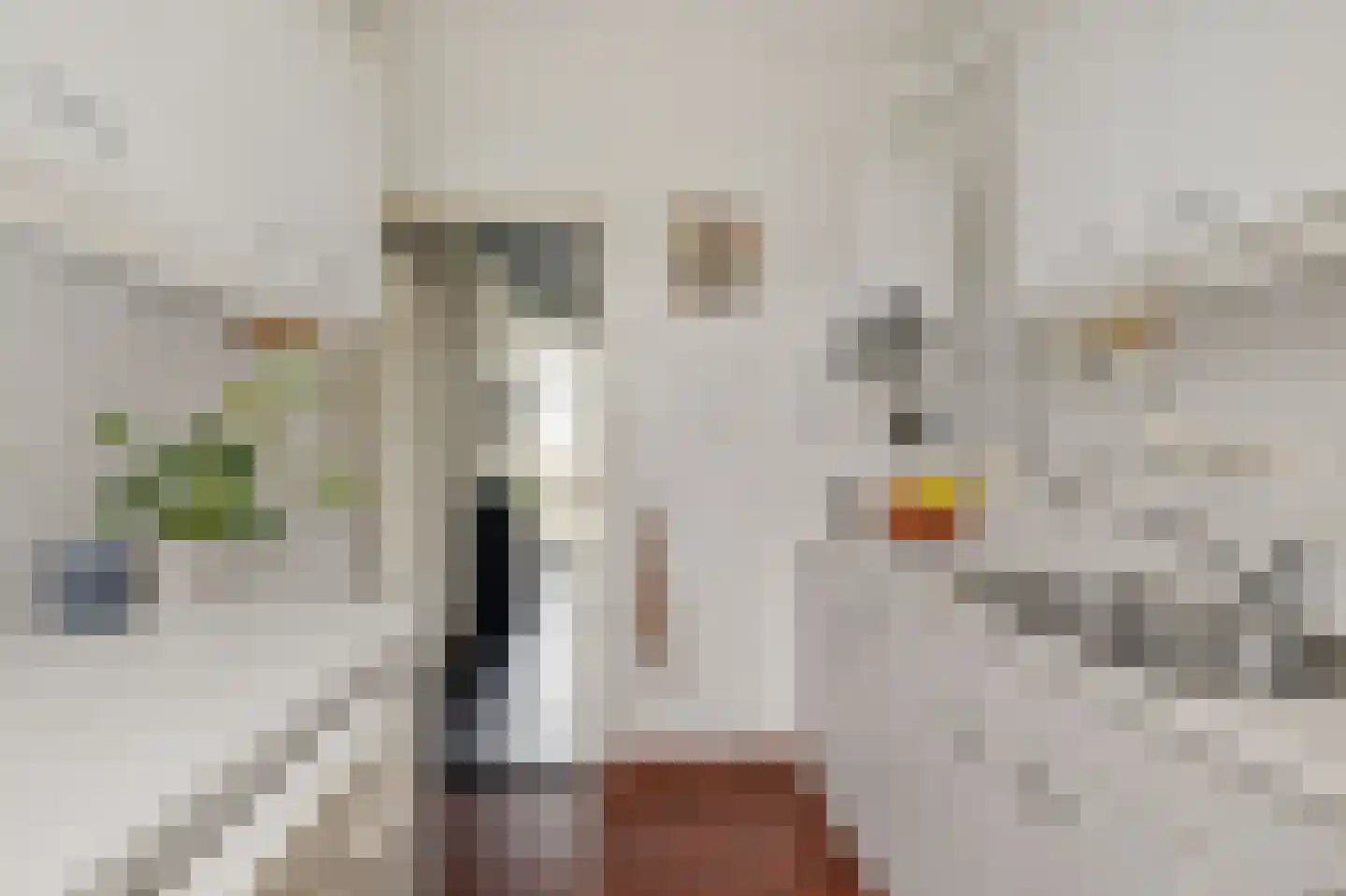 Grachtstraat 10 Winsum thumbnail 9