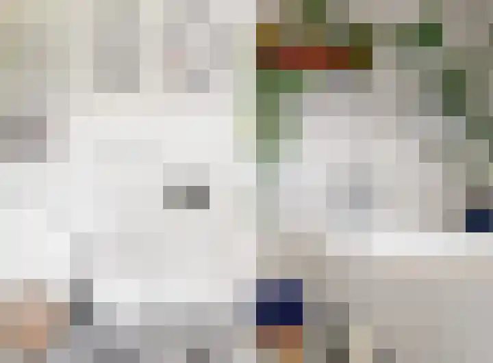 Grachtstraat 17 Simpelveld thumbnail 13