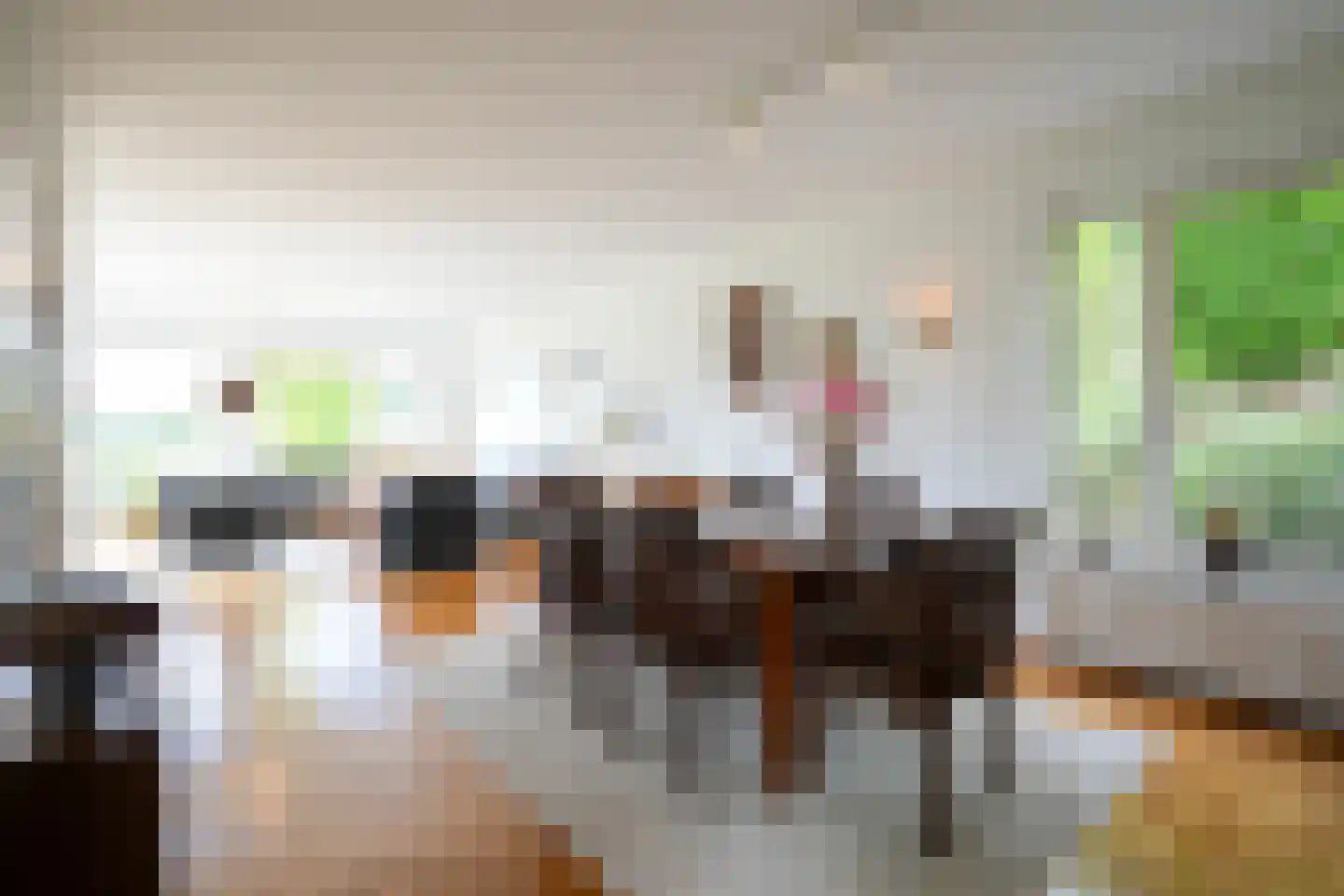 Grachtstraat 18 Eys thumbnail 10