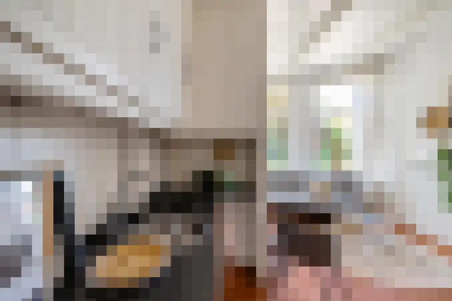 Grachtstraat 18 Groningen thumbnail 11