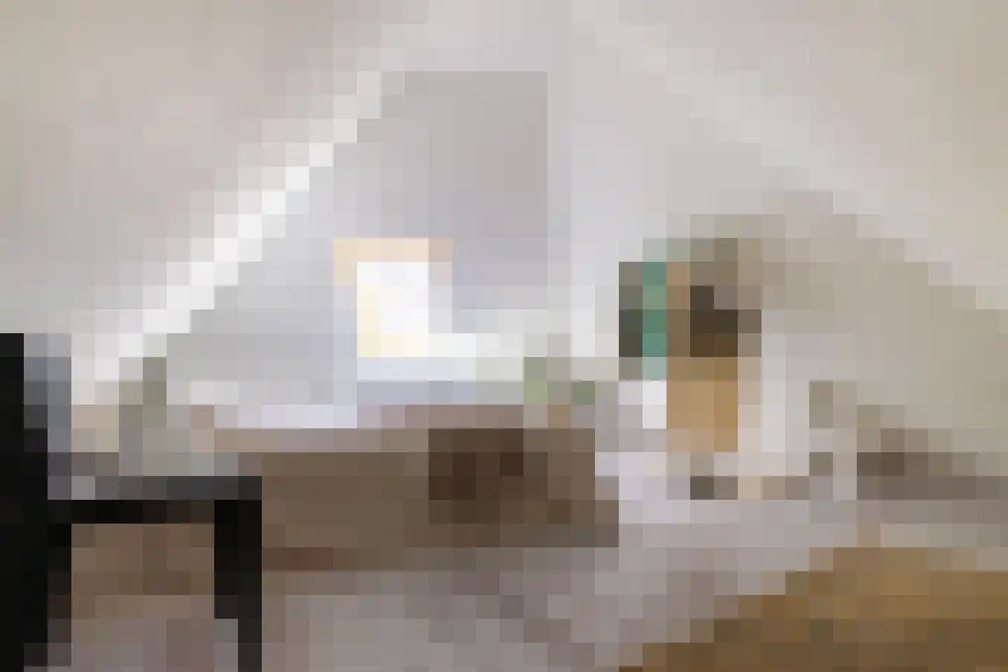 Grachtstraat 18 Groningen thumbnail 15