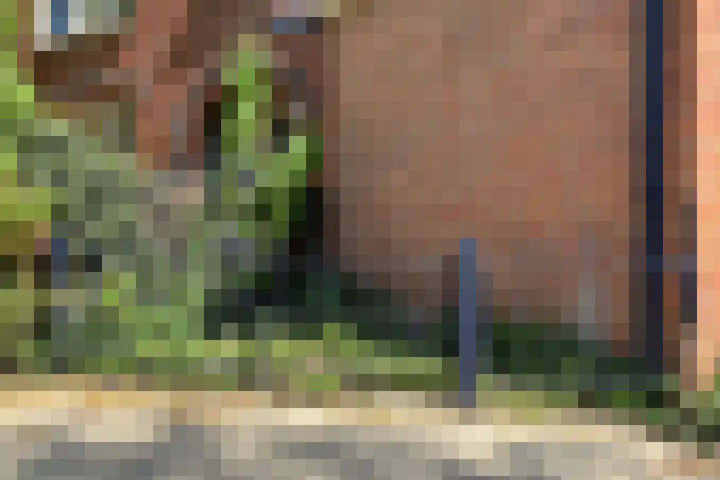 Grachtstraat 18 Groningen thumbnail 19