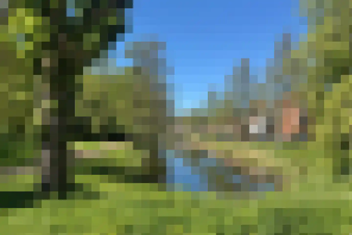 Grachtstraat 18 Groningen thumbnail 23