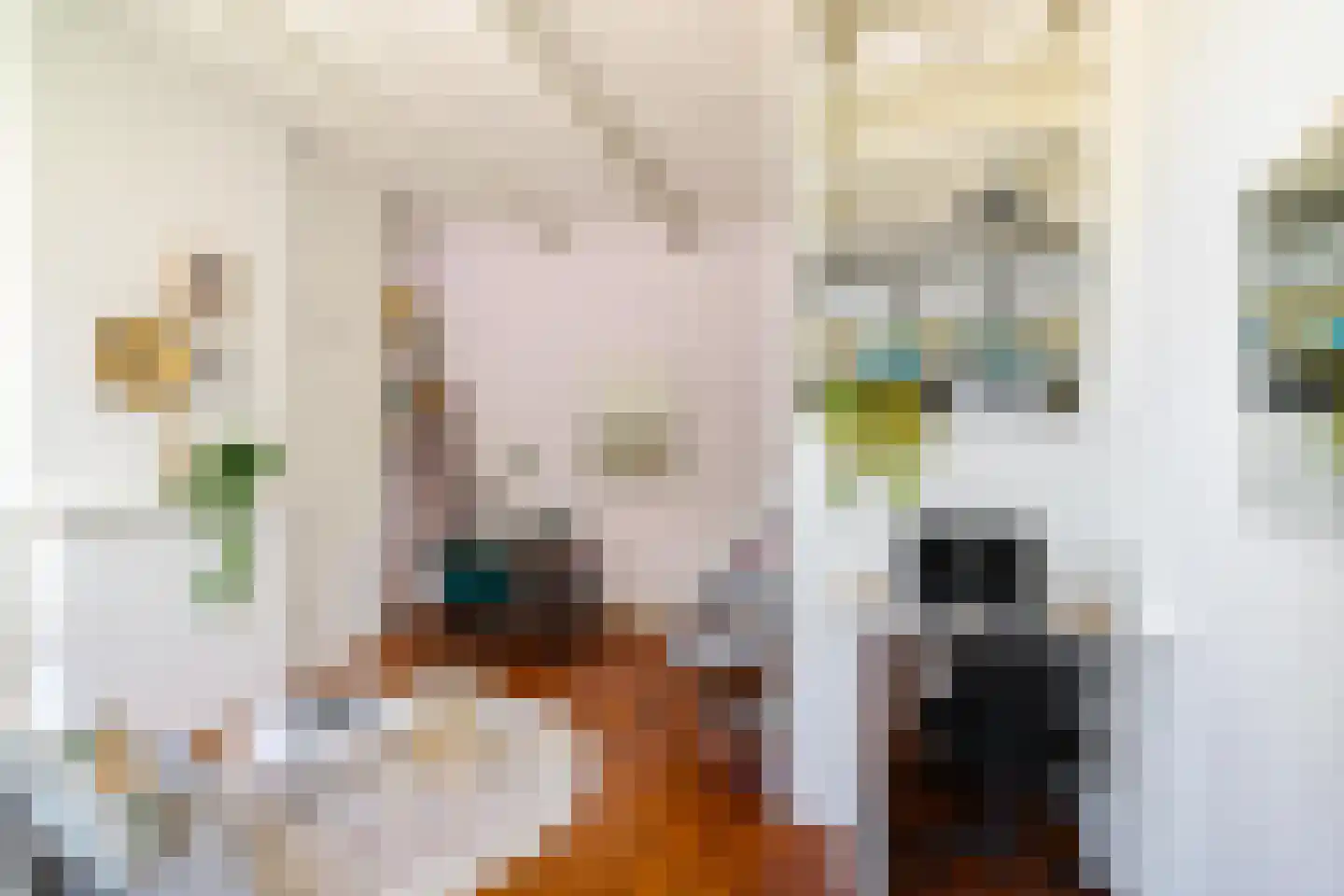 Grachtstraat 18 Groningen thumbnail 7