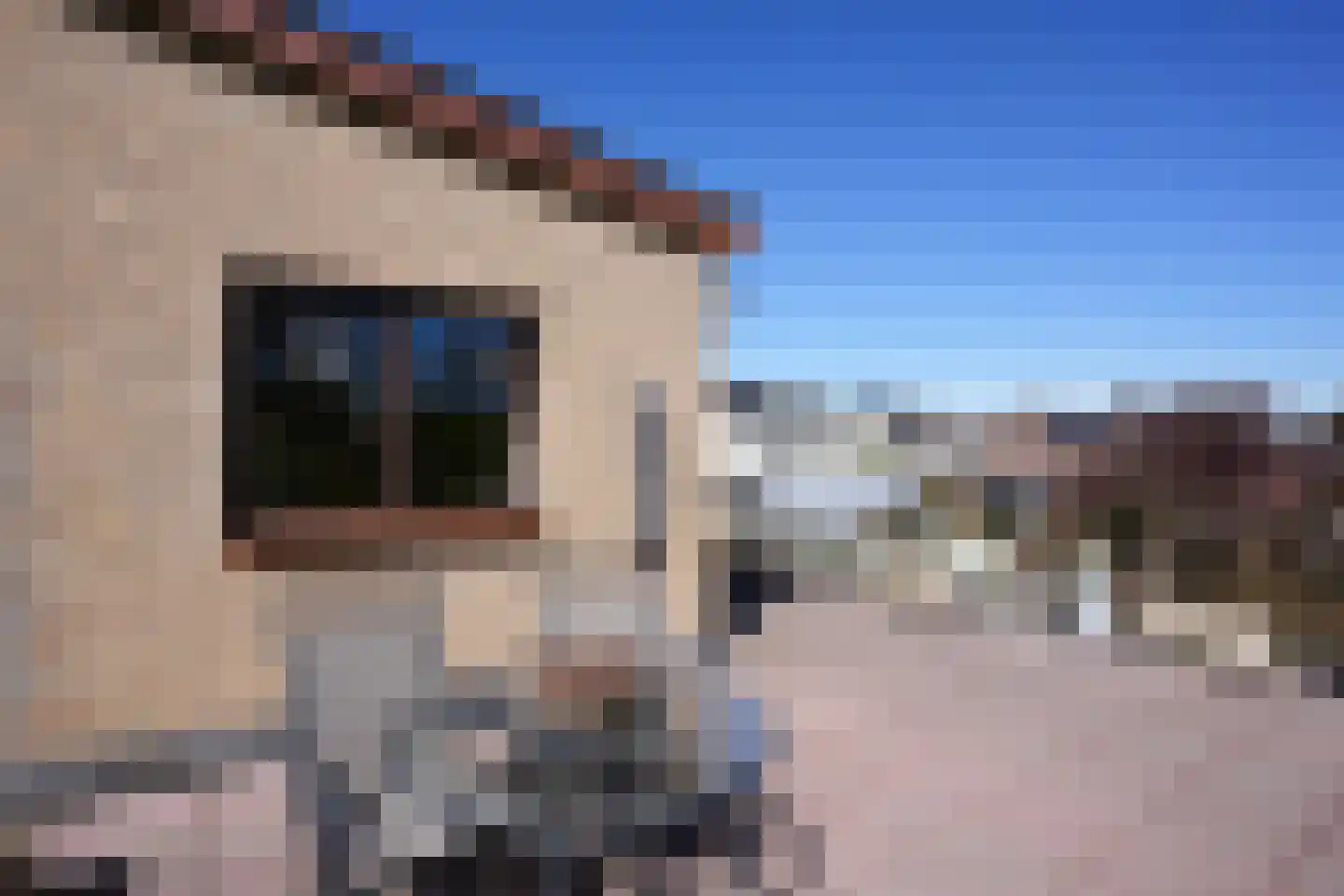 Grachtstraat 21 Schin op Geul thumbnail 13
