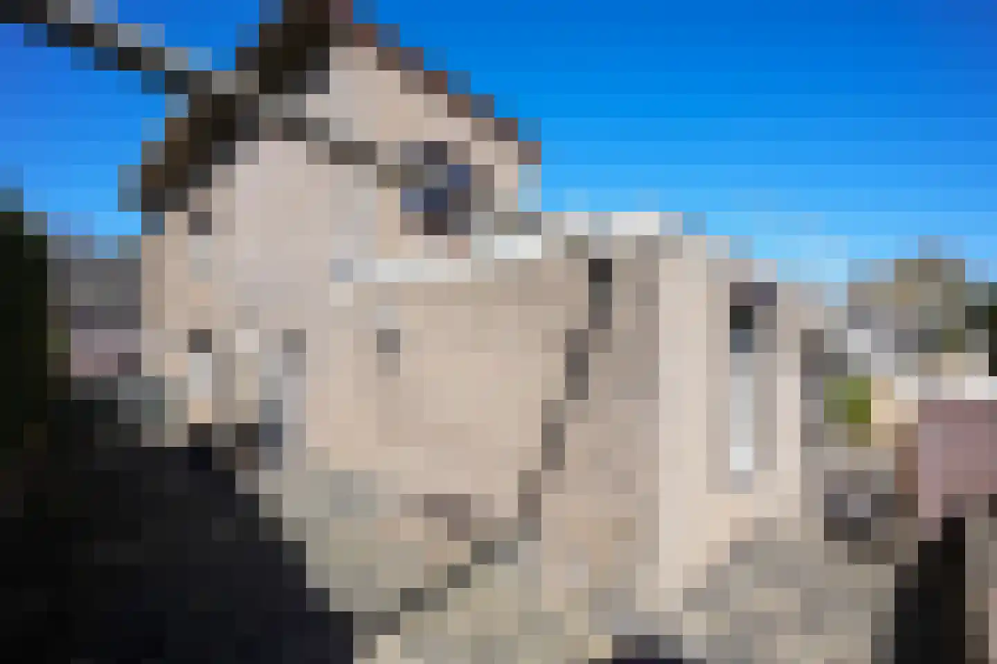 Grachtstraat 21 Schin op Geul thumbnail 16