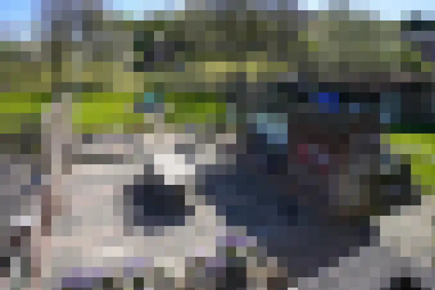 Grachtstraat 21 Schin op Geul thumbnail 25
