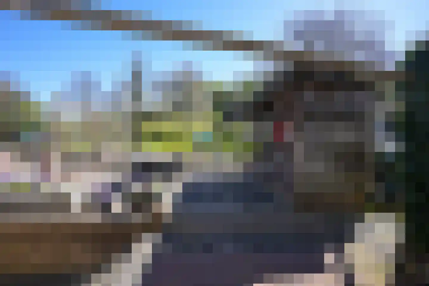 Grachtstraat 21 Schin op Geul thumbnail 26