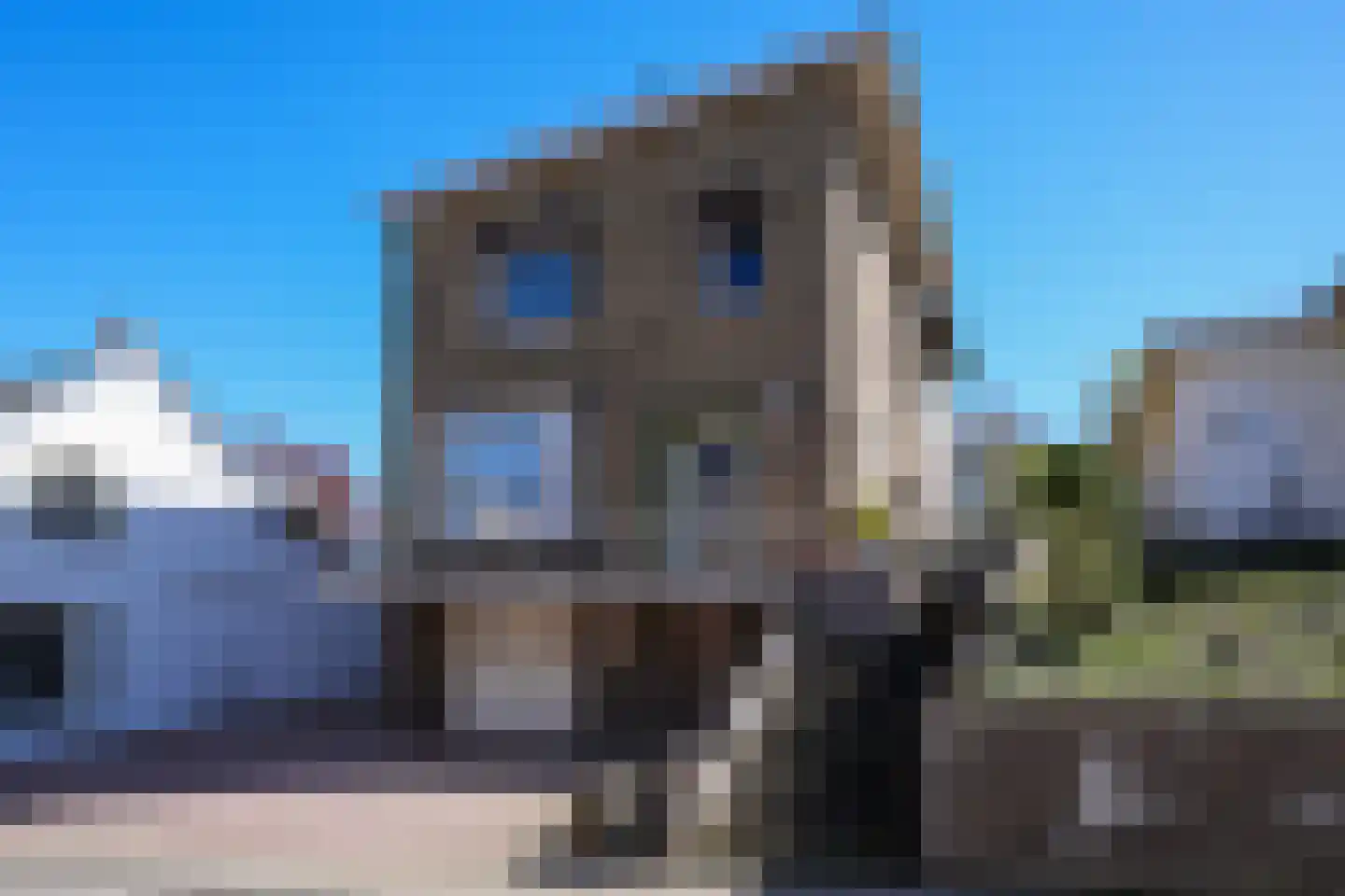 Grachtstraat 21 Schin op Geul thumbnail 41