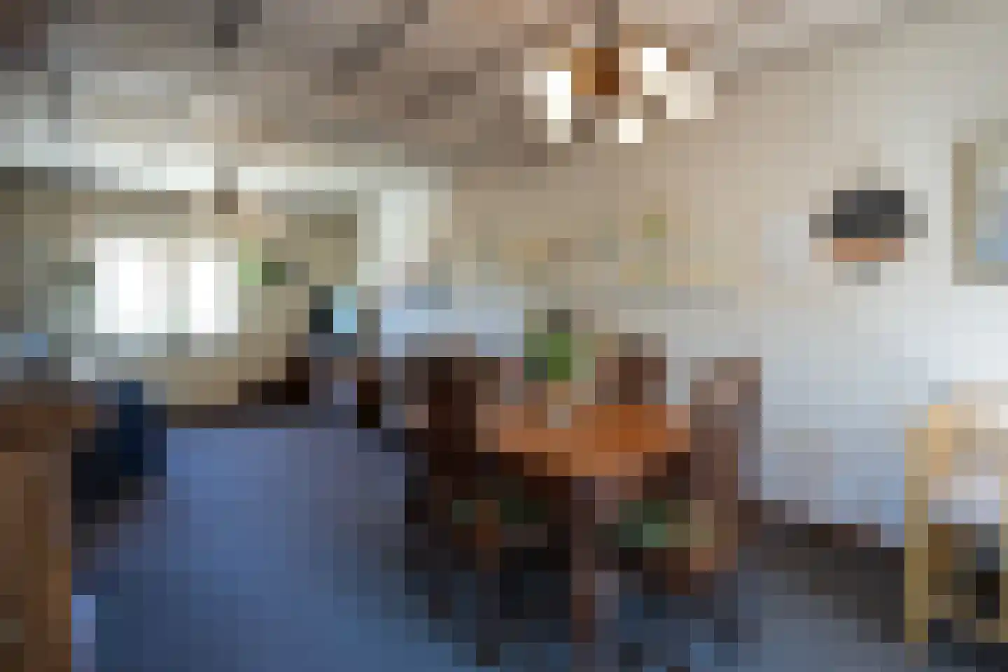 Grachtstraat 21 Schin op Geul thumbnail 5