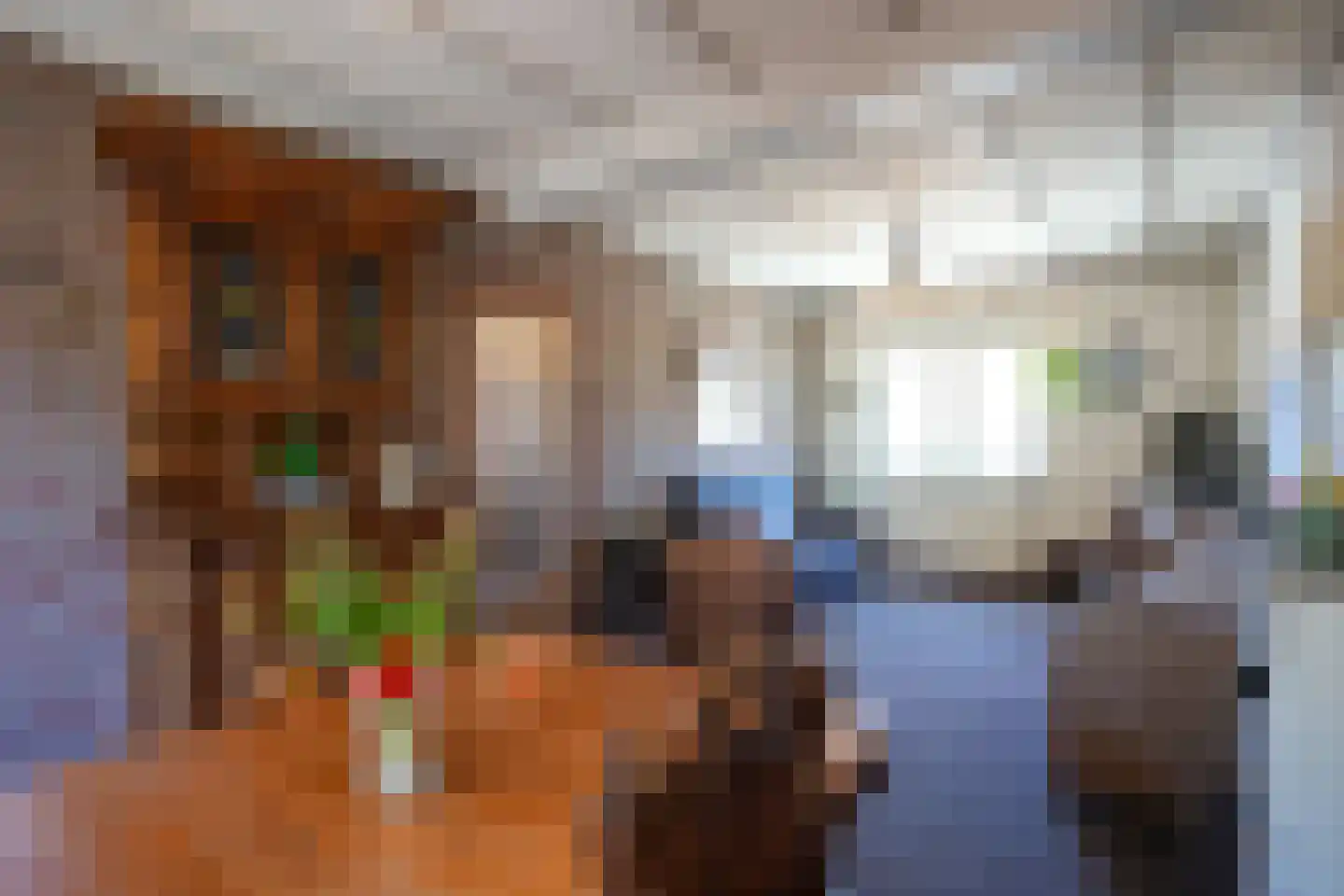 Grachtstraat 21 Schin op Geul thumbnail 6