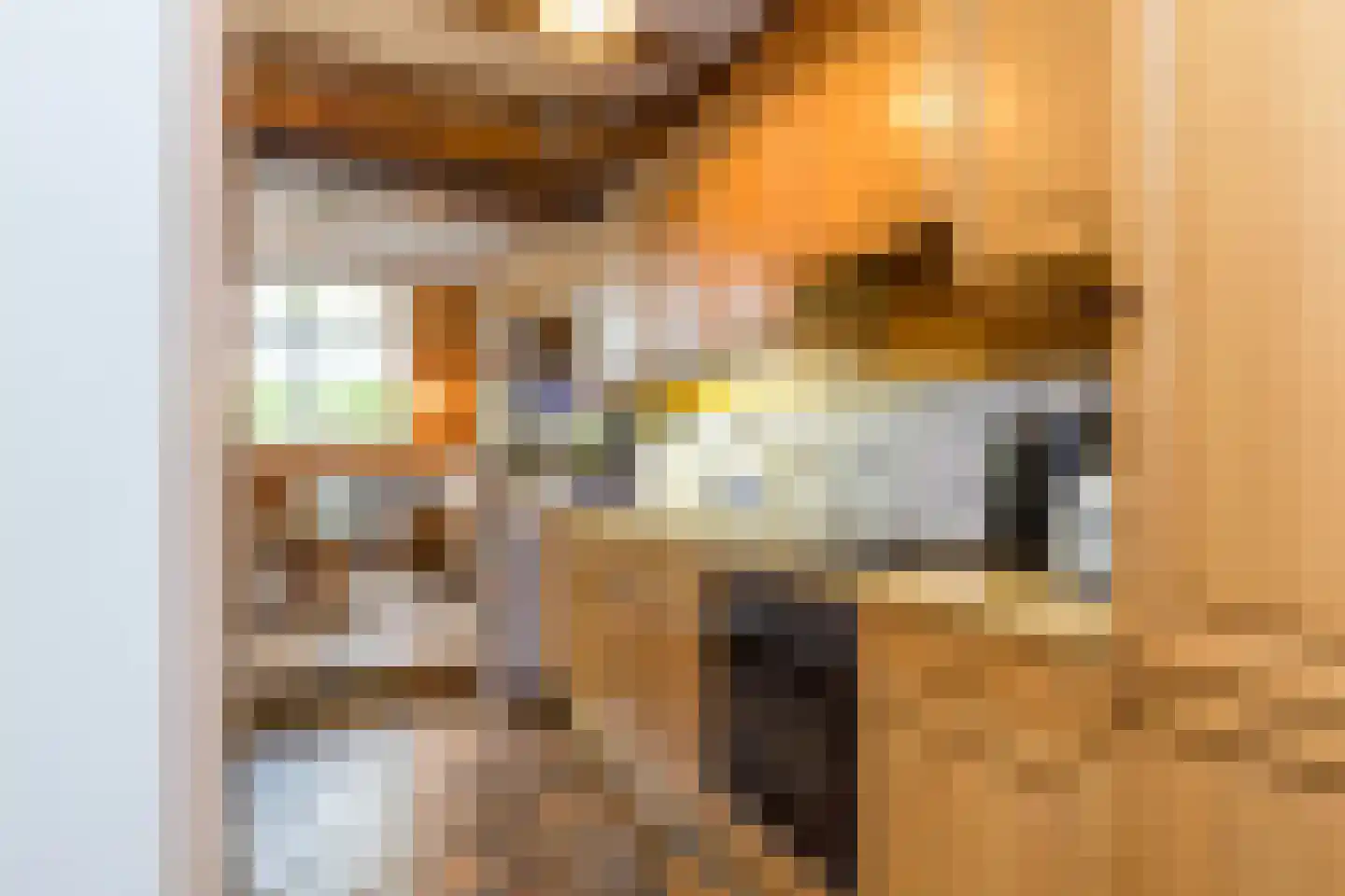 Grachtstraat 24 Schin op Geul thumbnail 11