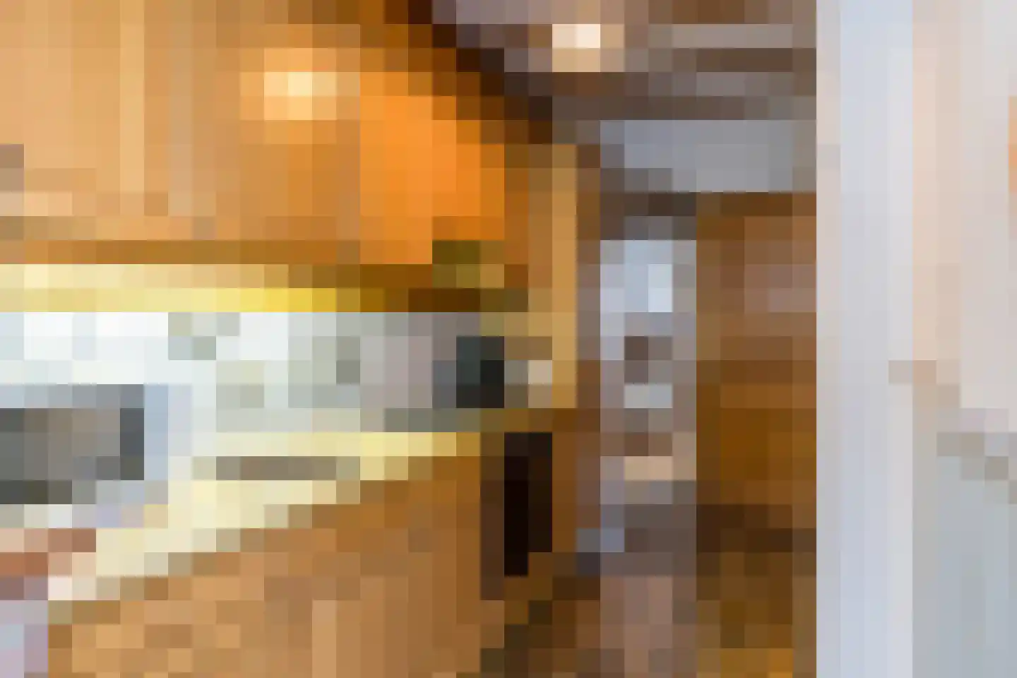 Grachtstraat 24 Schin op Geul thumbnail 12
