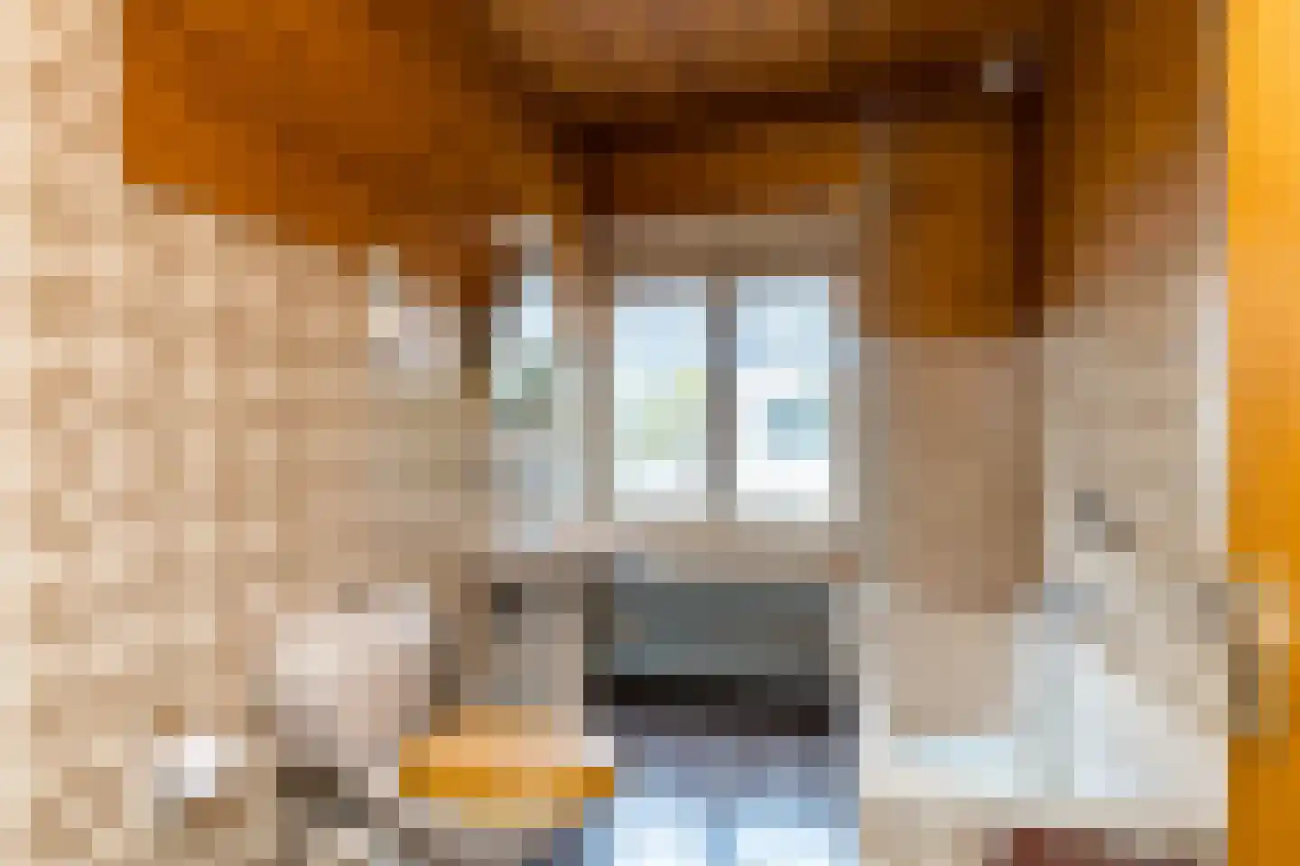 Grachtstraat 24 Schin op Geul thumbnail 21