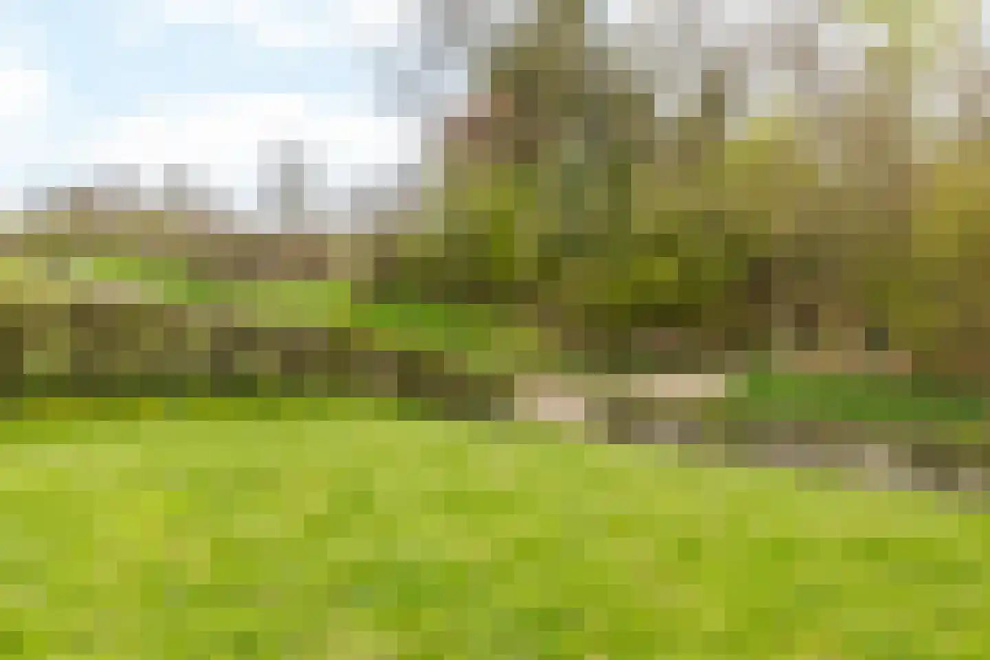 Grachtstraat 24 Schin op Geul thumbnail 30