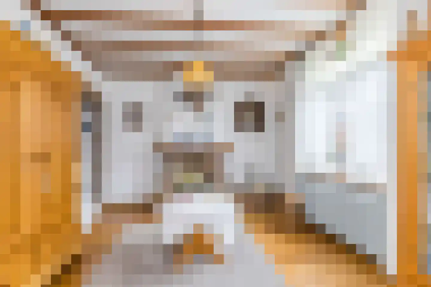 Grachtstraat 24 Schin op Geul thumbnail 6