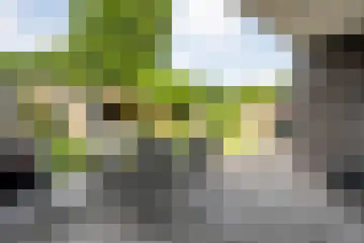 Grachtstraat 28 Sibculo thumbnail 37