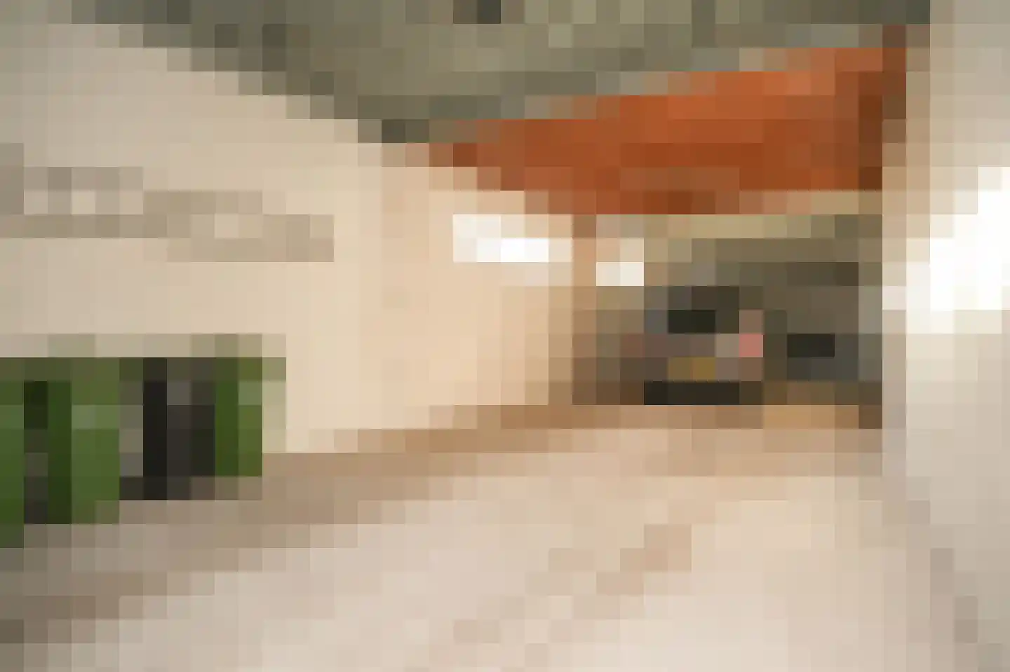 Grachtstraat 31 Wamel thumbnail 5