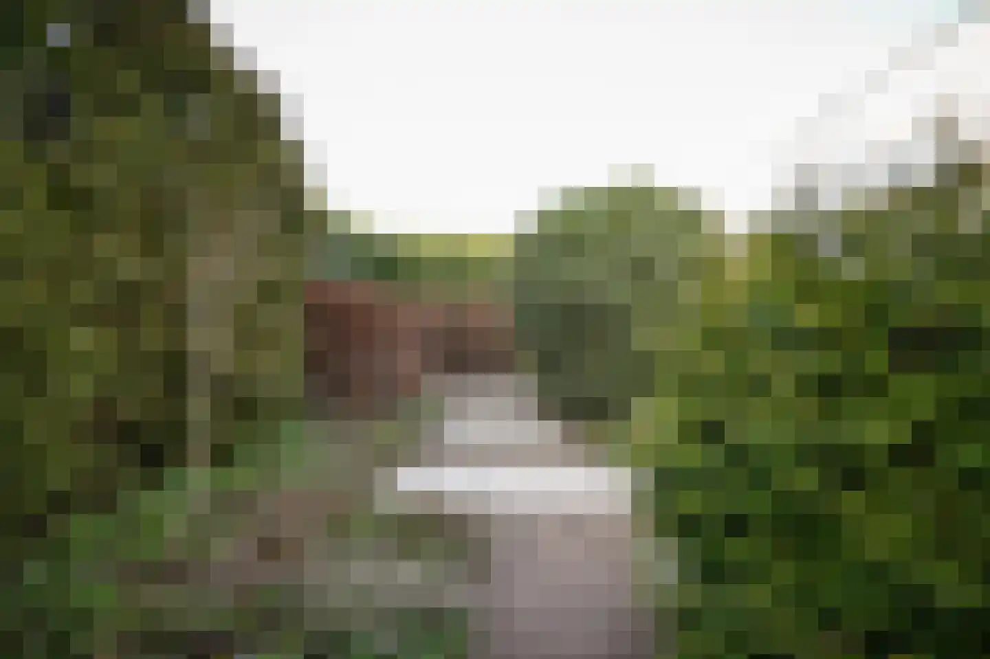 Grachtstraat 31 Wamel thumbnail 56