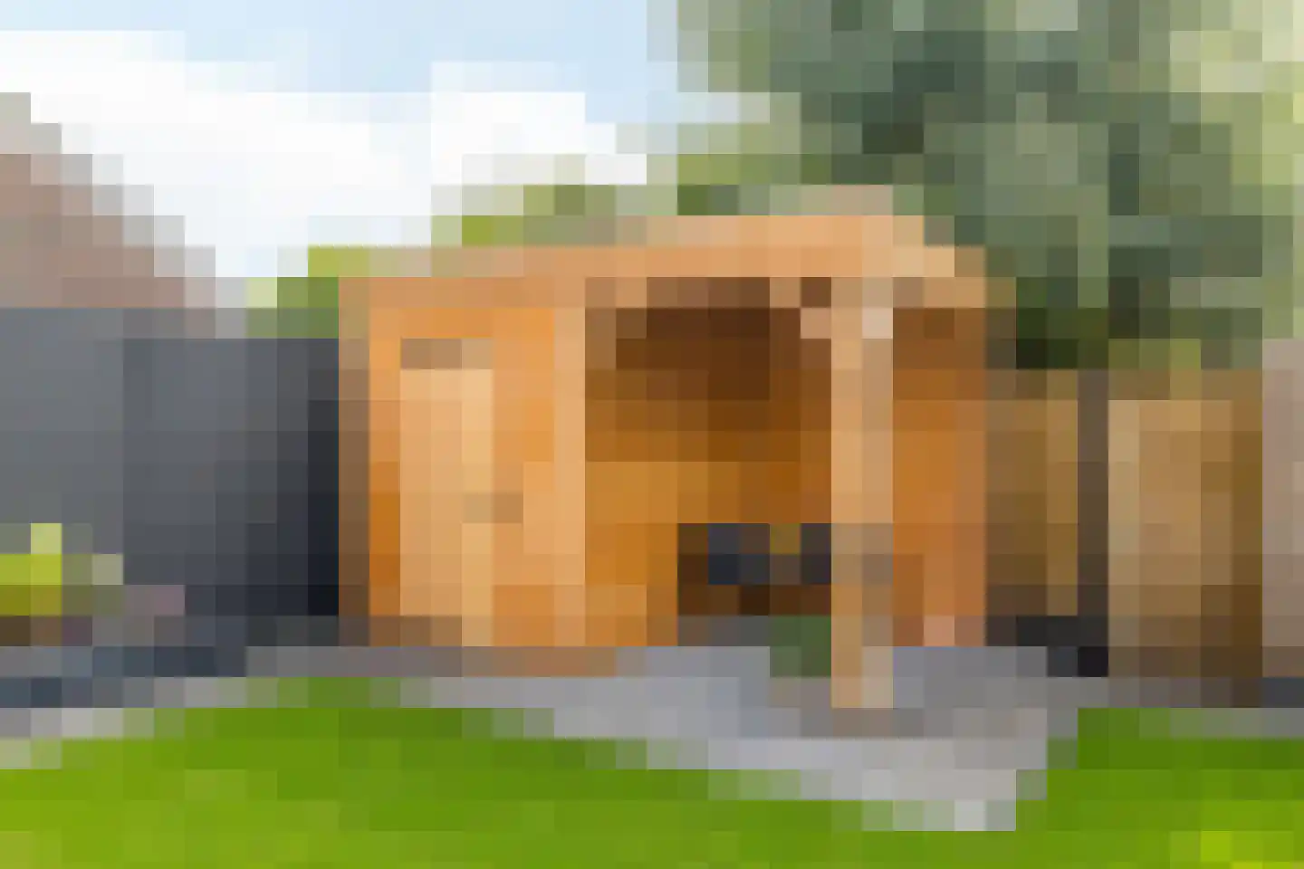 Grachtstraat 36 Voerendaal thumbnail 33