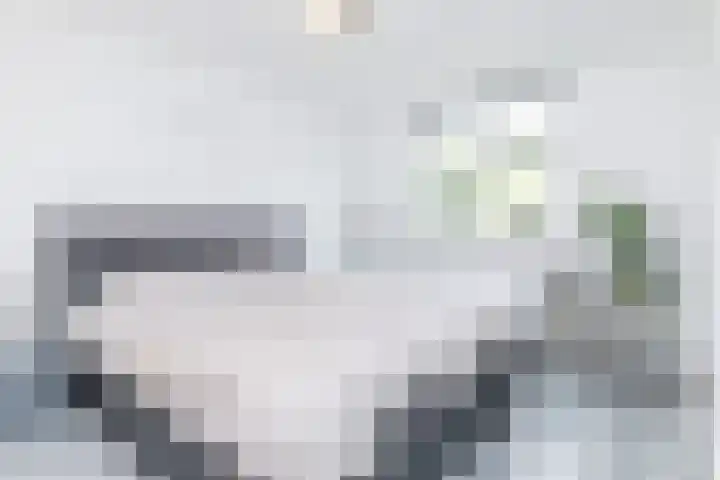 Grachtstraat 44 Schin op Geul thumbnail 20