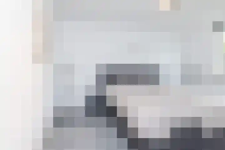 Grachtstraat 44 Schin op Geul thumbnail 21