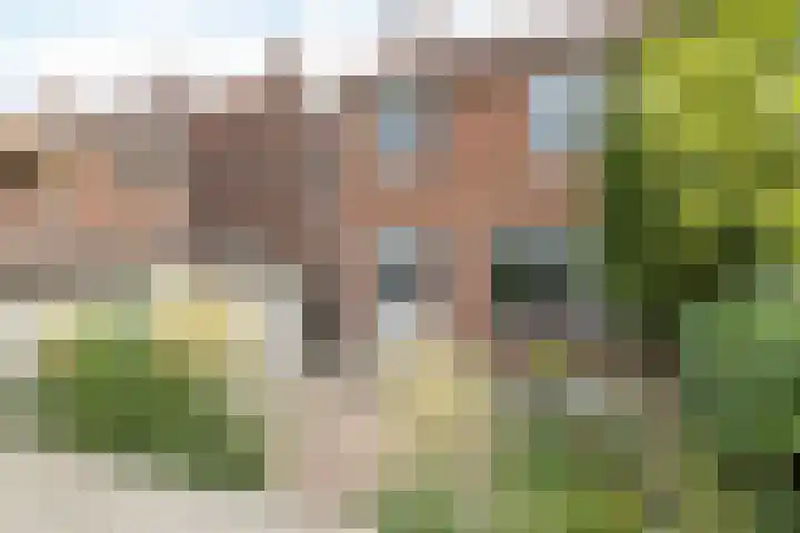 Grachtstraat 44 Schin op Geul thumbnail 29