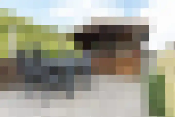 Grachtstraat 44 Schin op Geul thumbnail 31