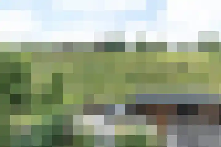 Grachtstraat 44 Schin op Geul thumbnail 32