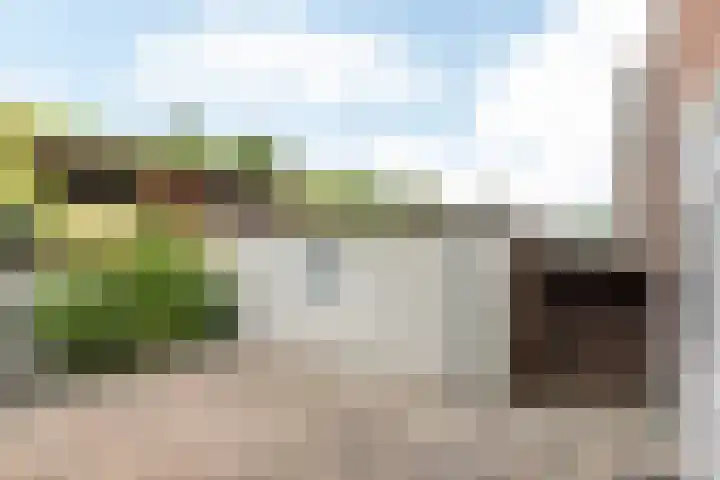 Grachtstraat 44 Schin op Geul thumbnail 33
