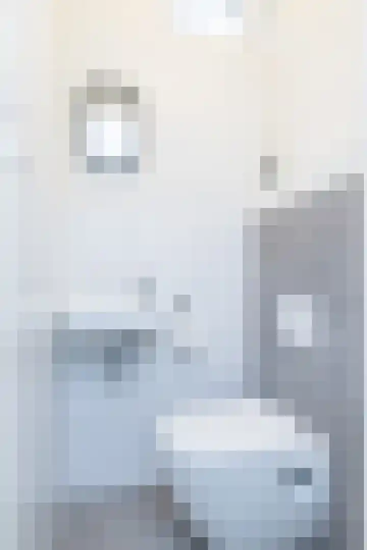 Grachtstraat 44 Schin op Geul thumbnail 4