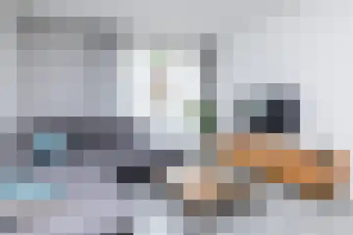 Grachtstraat 44 Schin op Geul thumbnail 8