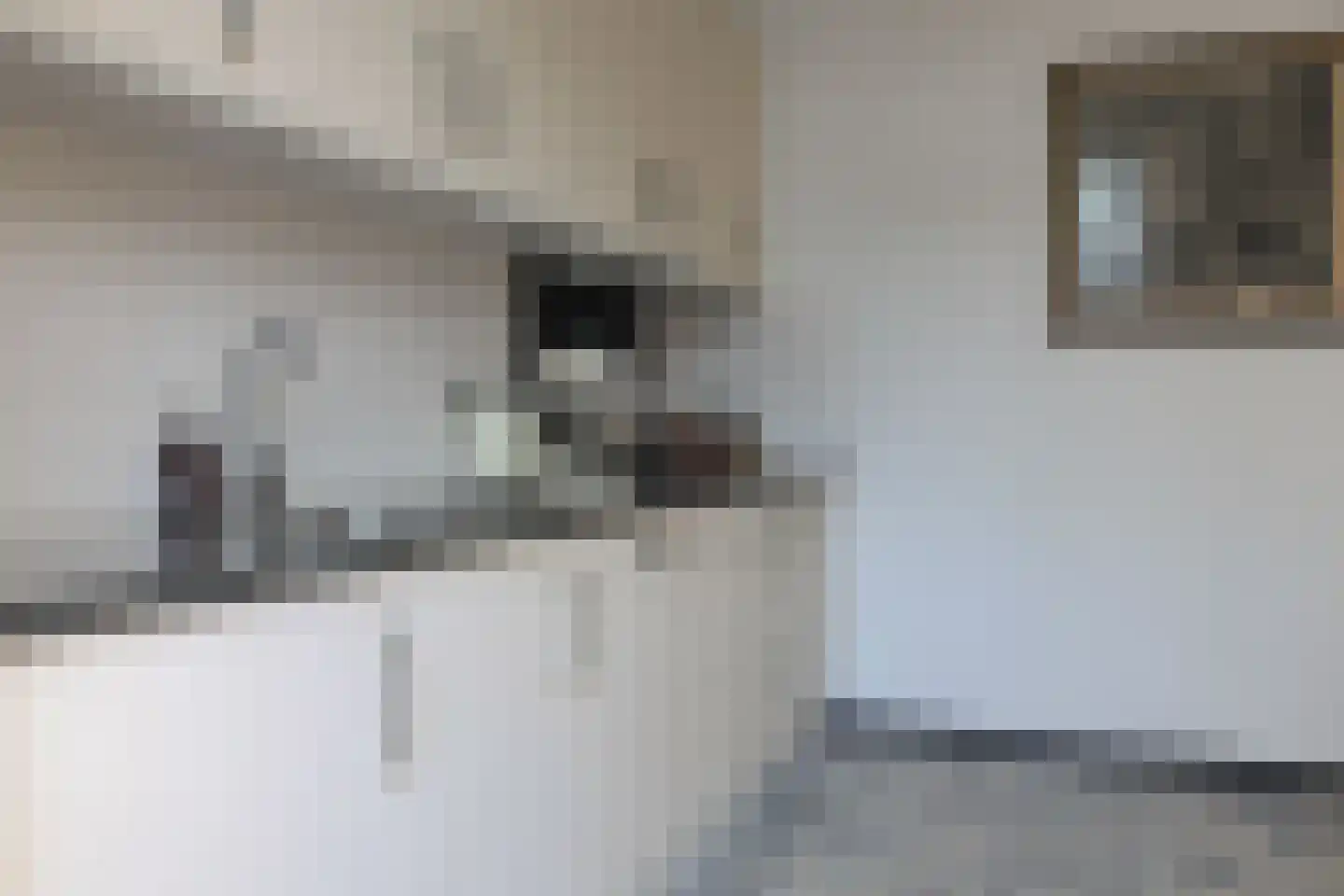 Grachtstraat 46 Voerendaal thumbnail 17
