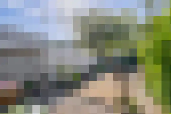 Grachtstraat 74 Schin op Geul thumbnail 20