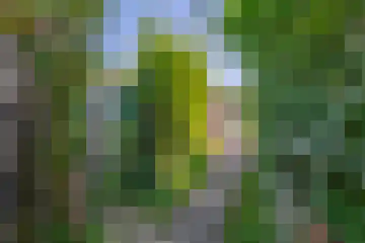 Grachtstraat 74 Schin op Geul thumbnail 34