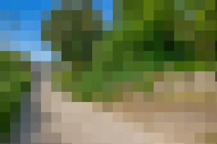Grachtstraat 74 Schin op Geul thumbnail 35