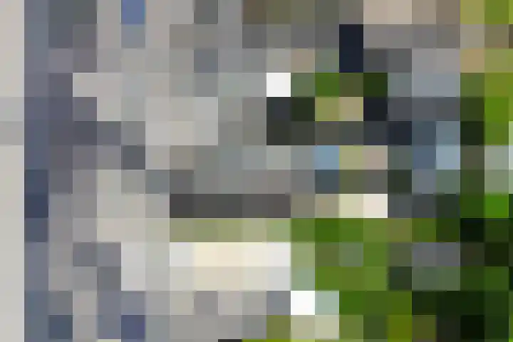 Grachtstraat 74 Schin op Geul thumbnail 41