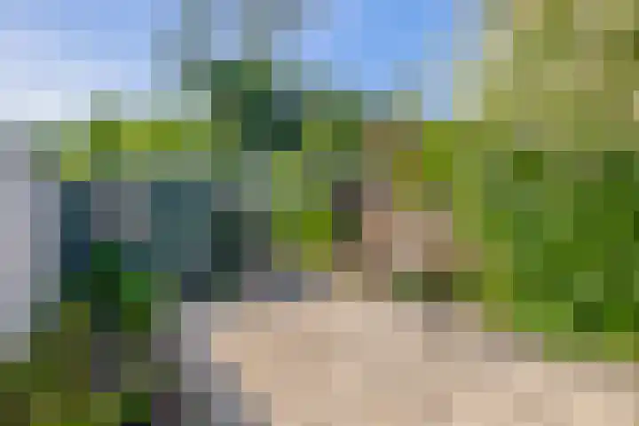 Grachtstraat 74 Schin op Geul thumbnail 5