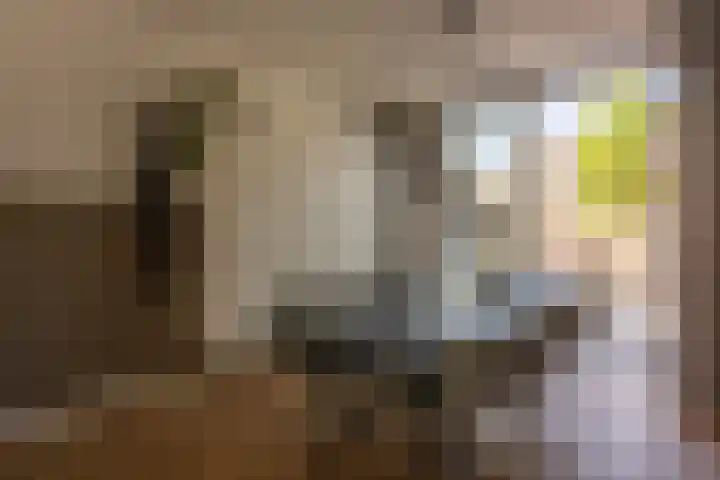 Grachtstraat 78 Voerendaal thumbnail 12