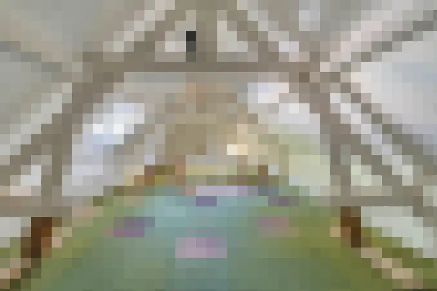 Grachtstraat 86 Schin op Geul thumbnail 36