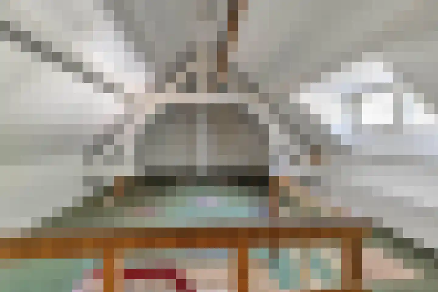 Grachtstraat 86 Schin op Geul thumbnail 38