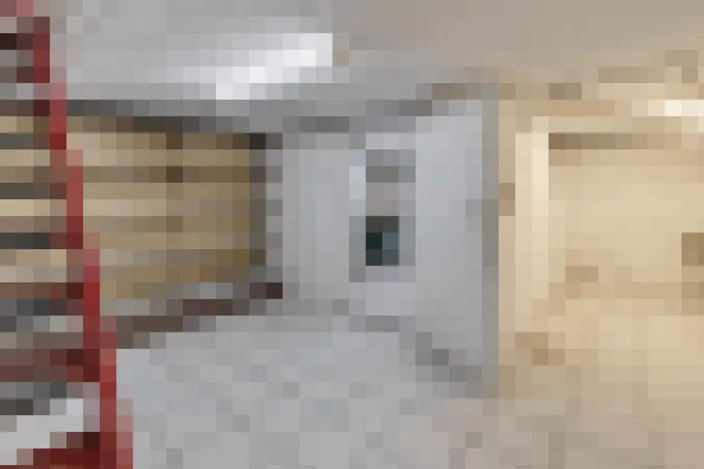 Grachtstraat 86 Schin op Geul thumbnail 40