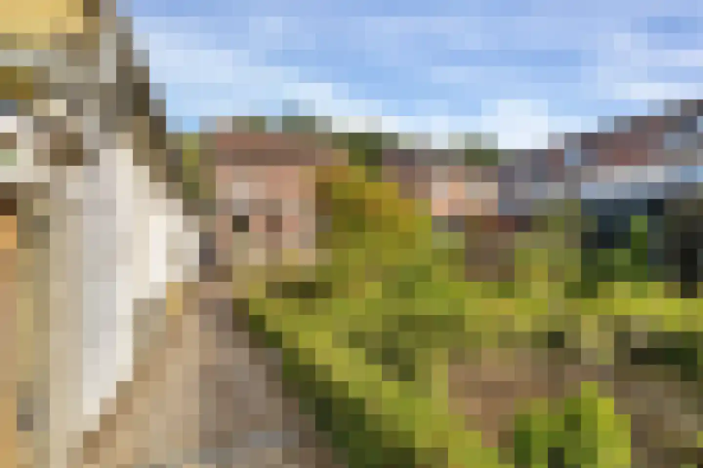 Grachtstraat 86 Schin op Geul thumbnail 6